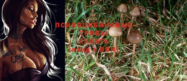 тгк Алексеевка
