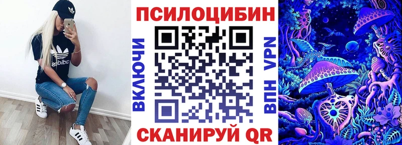 Псилоцибиновые грибы Psilocybe  Апшеронск 